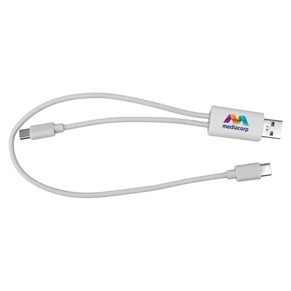 Dual Input A + C to C Accent Cable... from ASI 30208 A P Specialties / AP Specialties