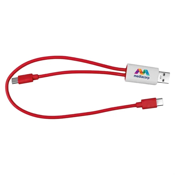 Dual Input A + C to C Accent Cable... from ASI 30208 A P Specialties / AP Specialties