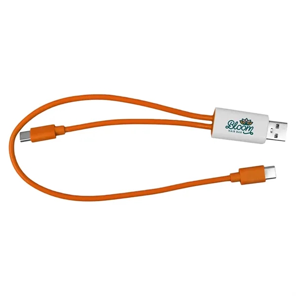 Dual Input A + C to C Accent Cable... from ASI 30208 A P Specialties / AP Specialties