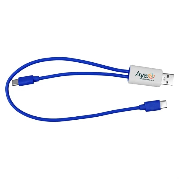 Dual Input A + C to C Accent Cable... from ASI 30208 A P Specialties / AP Specialties