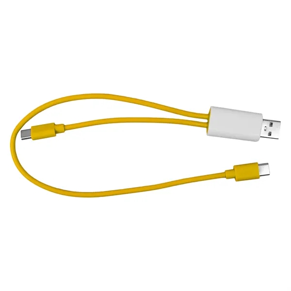 Dual Input A + C to C Accent Cable... from ASI 30208 A P Specialties / AP Specialties
