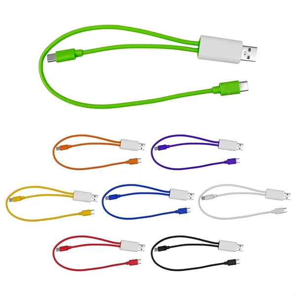 Dual Input A + C to C Accent Cable... from ASI 30208 A P Specialties / AP Specialties