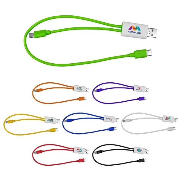 Dual Input A + C to C Accent Cable... from ASI 30208 A P Specialties / AP Specialties