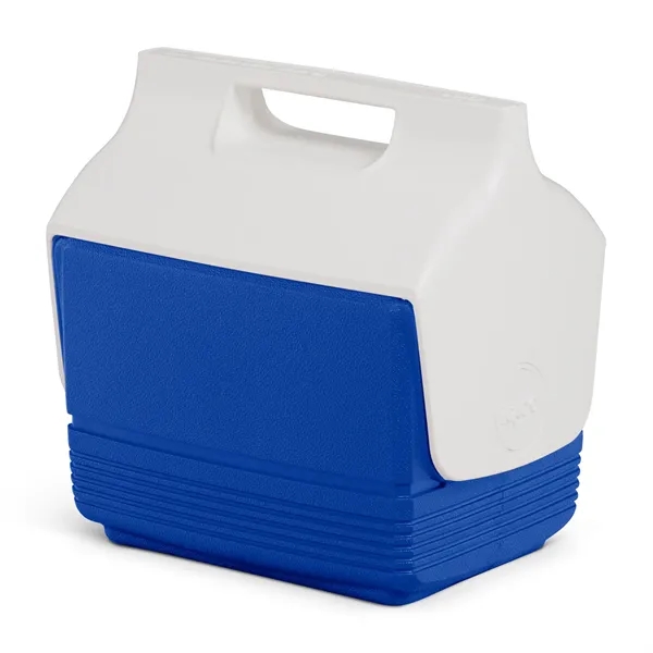 4 quart mini cooler with 6-can capacity and hard-sided design.... from ASI 56070 Gemline / Gemline®