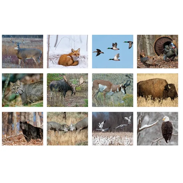 12 month mini tear-off sheet calendar featuring photos of animals and... from ASI 50873 Drum-Line / Drum-line Inc