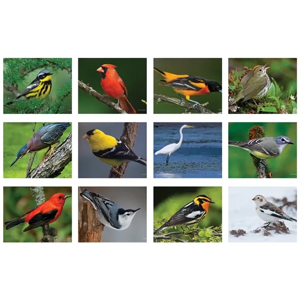 12 month tear-off sheets calendar featuring photos of colorful birds.... from ASI 50873 Drum-Line / Drum-line Inc