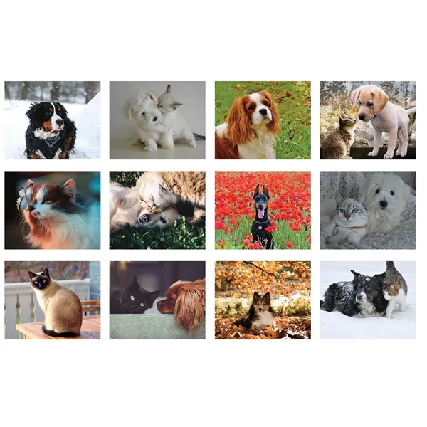 12 month tear-off sheets calendar featuring photos of adorable dogs and... from ASI 50873 Drum-Line / Drum-line Inc