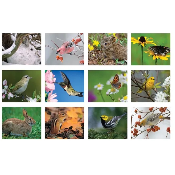 12 month tear-off sheets calendar featuring photos of beautiful birds and... from ASI 50873 Drum-Line / Drum-line Inc