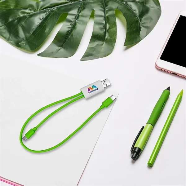 Dual Input A + C to C Accent Cable... from ASI 30208 A P Specialties / AP Specialties