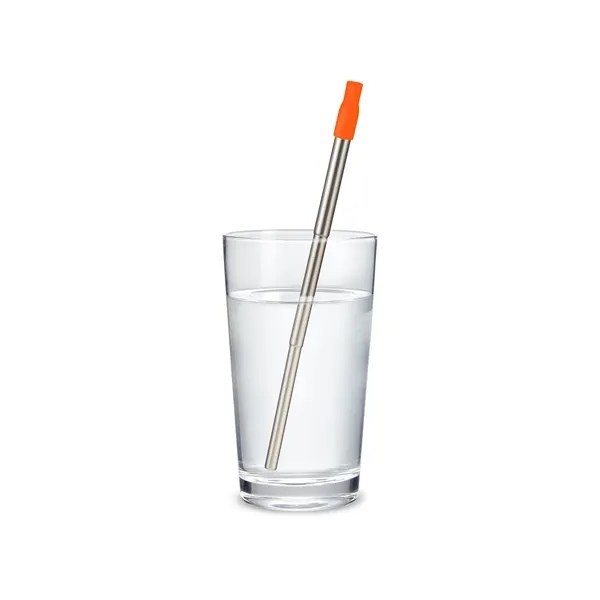 304 stainless steel telescopic drinking straw set with PS case with... from ASI 79530 Prime Line