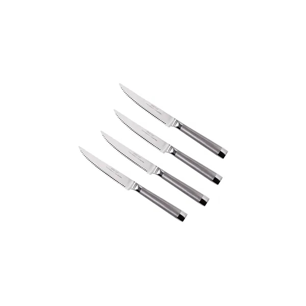 Oneida® 4 Piece Stainless Steel Steak Knife Set... from ASI 89320 Starline USA Inc