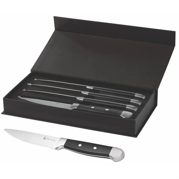 Oneida® Jumbo 4 Piece Steak Knife Set... from ASI 89320 Starline USA Inc