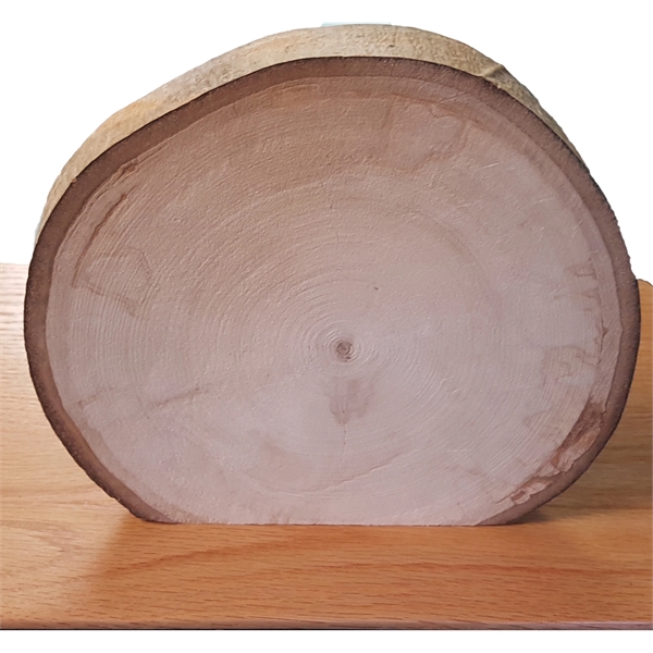 Laser-engraved, aspen bark-edged standing signs measure 7".... from ASI 92531 Unique Custom Products / UCP