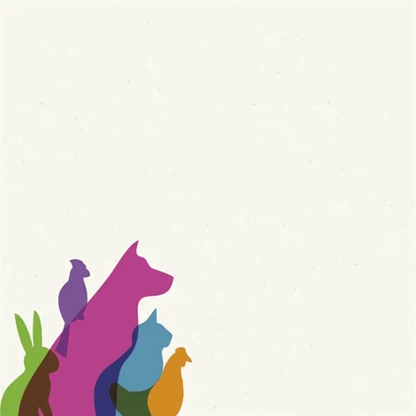 Souvenir® Sticky Note™ 3" x 3" Pad, 25 sheet... from ASI 40480 Koozie Group