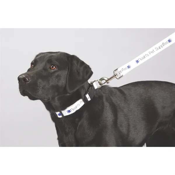 60" x 1" pet leash with a snap hook... from ASI 66887 PCNA / Bullet