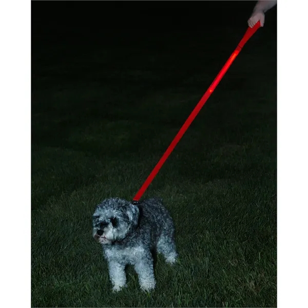 Rechargeable LED Light-Up Dog Leash... from ASI 79530 Prime Line