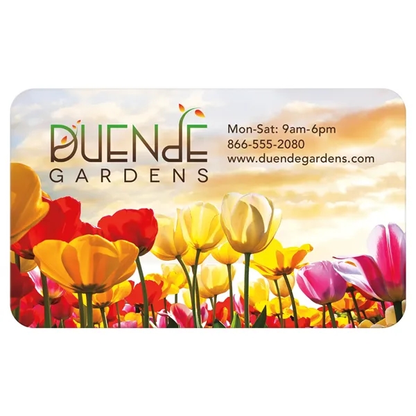 20 Mil Jumbo 4-Color Process Business Card Magnet... from ASI 40480 Koozie Group