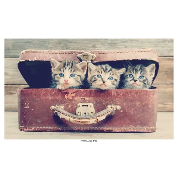 Robin Mount Calendar... from ASI 40480 Koozie Group