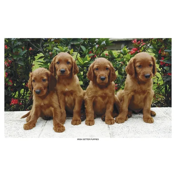 Robin Mount Calendar... from ASI 40480 Koozie Group