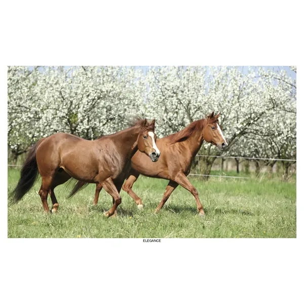 Robin Mount Calendar... from ASI 40480 Koozie Group