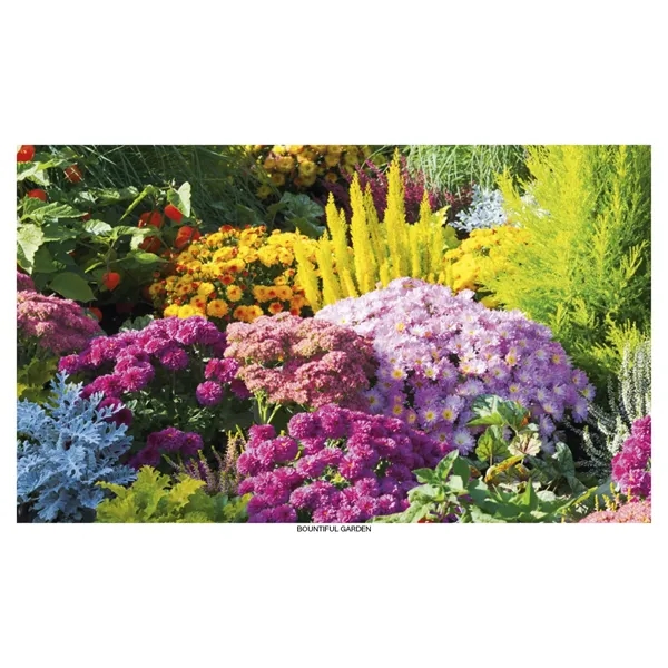 Robin Mount Calendar... from ASI 40480 Koozie Group