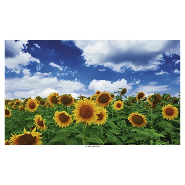 Robin Mount Calendar... from ASI 40480 Koozie Group