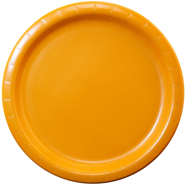9" round Colorware paper plate.... from ASI 91880 Tranter Graphics Inc