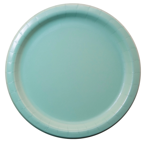 9" round Colorware paper plate.... from ASI 91880 Tranter Graphics Inc