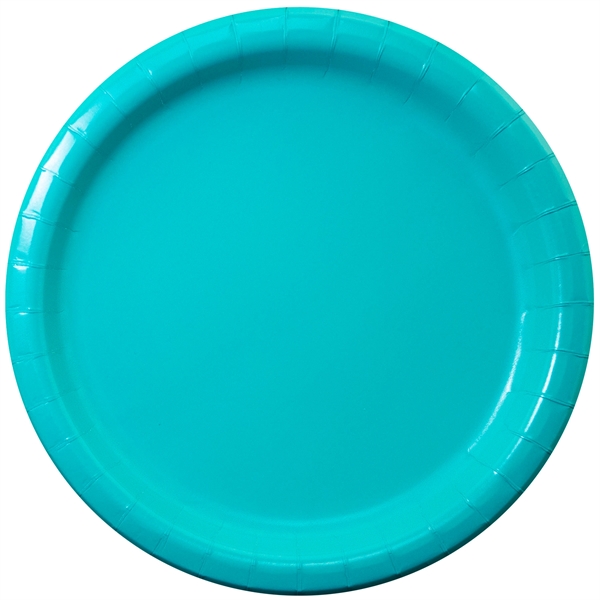 9" round Colorware paper plate.... from ASI 91880 Tranter Graphics Inc