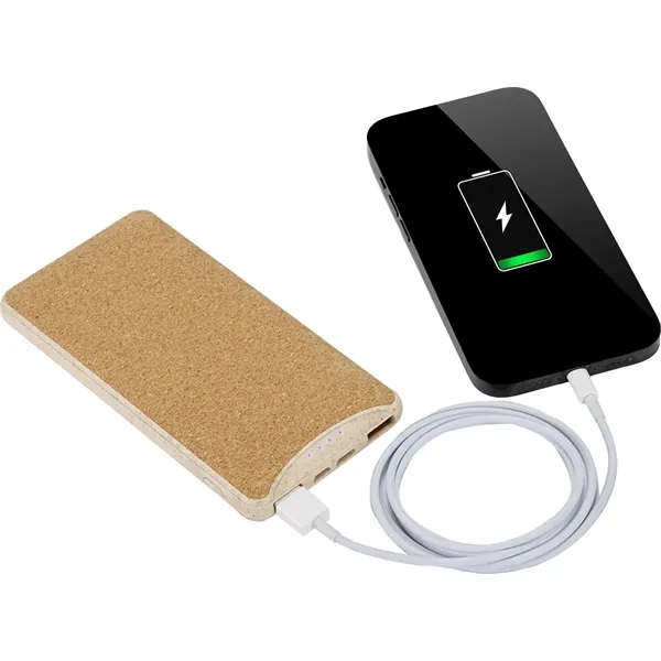 EarthTrendz™ 8,000 mAh Power Bank... from ASI 89320 Starline USA Inc