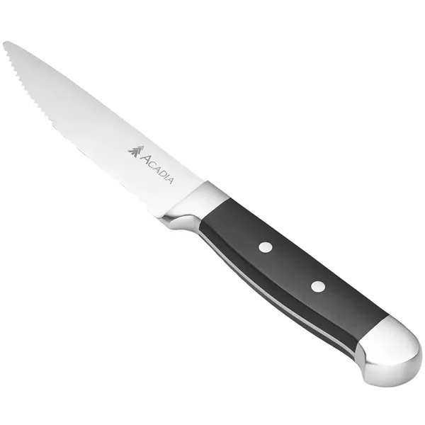 Oneida® Jumbo 4 Piece Steak Knife Set... from ASI 89320 Starline USA Inc