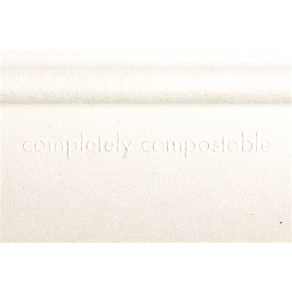 10 x 5 rectangle compostable paper plate.... from ASI 88200 TK Sorg's - A Div of Arch Promo Group, LLC / PETITE