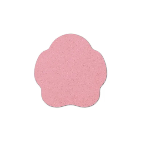 Paw Compressed Sponge... from ASI 35730 Americanna Co