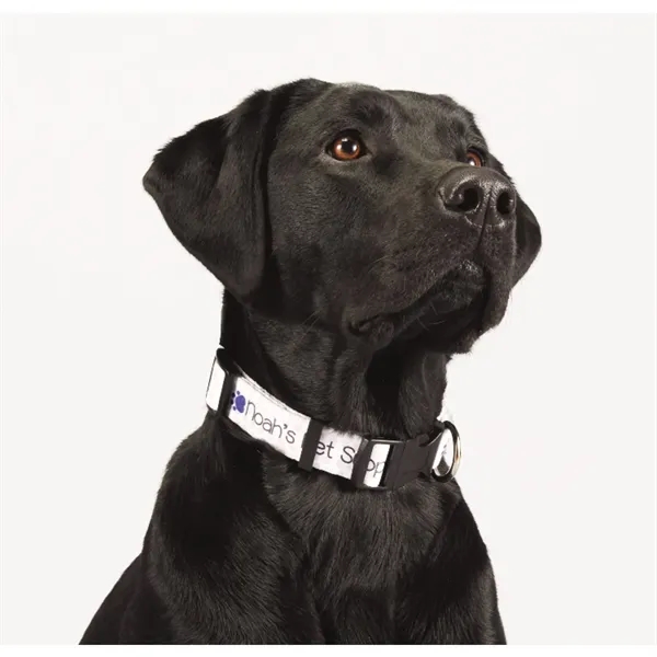 20"L x 1"W adjustable pet collar... from ASI 66887 PCNA / Bullet