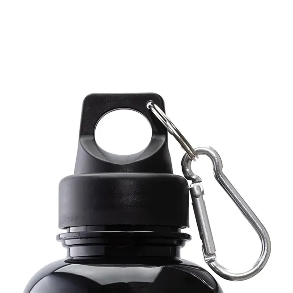 Brio 20 oz. PS Water Bottle w/ Carabiner... from ASI 67866 Logomark/Valumark