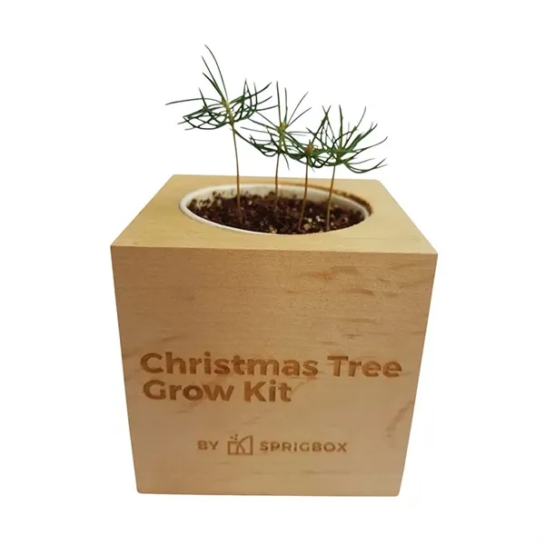 Sprigbox Christmas Tree Grow Kit... from ASI 67866 Logomark/Valumark