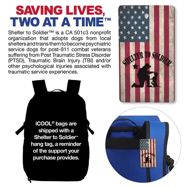 iCOOL® Vail 20-Can Cooler Backpack... from ASI 67866 Logomark/Valumark