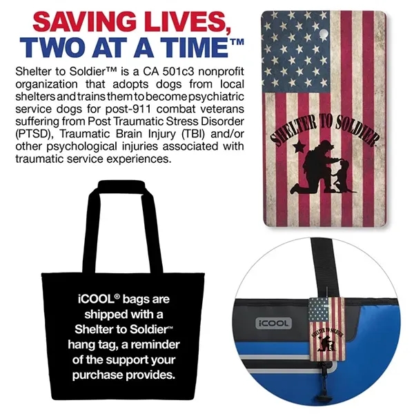 iCOOL® Vail 30-Can Cooler Tote Bag... from ASI 67866 Logomark/Valumark