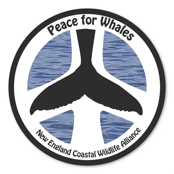 3" round repositionable label with patterned adhesive backing and 4 color... from ASI 68507 The Magnet Group / Magnet LLC™