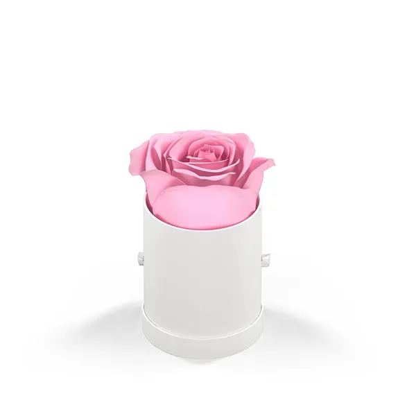 Singular rose in a round hat box.... from ASI 61125 Hit Promotional Products / Hit®