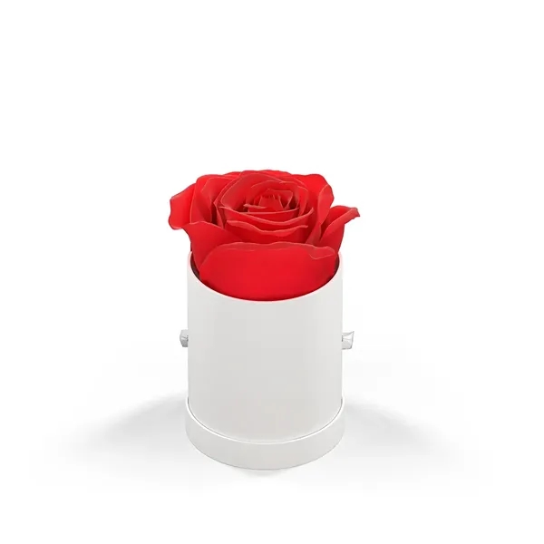 Singular rose in a round hat box.... from ASI 61125 Hit Promotional Products / Hit®