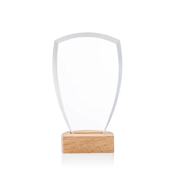 The Hendrick Award showcases modern elegance with its sleek Starfire crystal... from ASI 84592 St Regis Group / St Regis