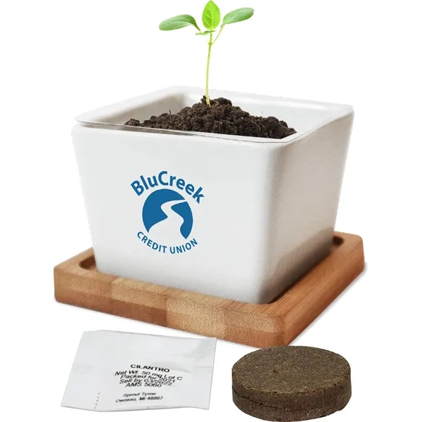 The ceramic planter features a drainage hole at the bottom and... from ASI 54100 Fields Manufacturing Inc / Fields