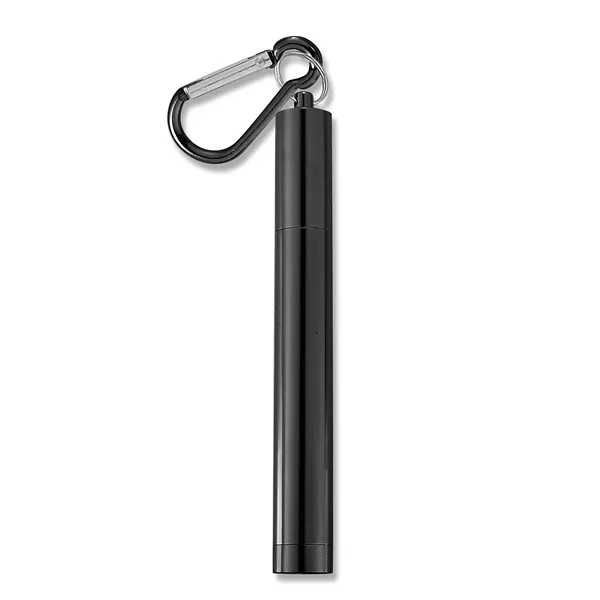 The Last Straw... from ASI 57800 Gordon Sinclair