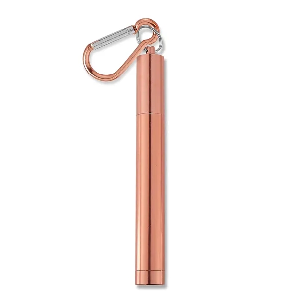 The Last Straw... from ASI 57800 Gordon Sinclair