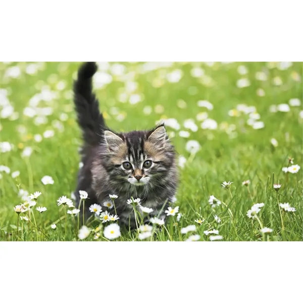 Memo Appointment with Picture... from ASI 40480 Koozie Group / Norwood Triumph Calendar