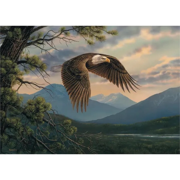 Large Hanger... from ASI 40480 Koozie Group / Norwood Triumph Calendar