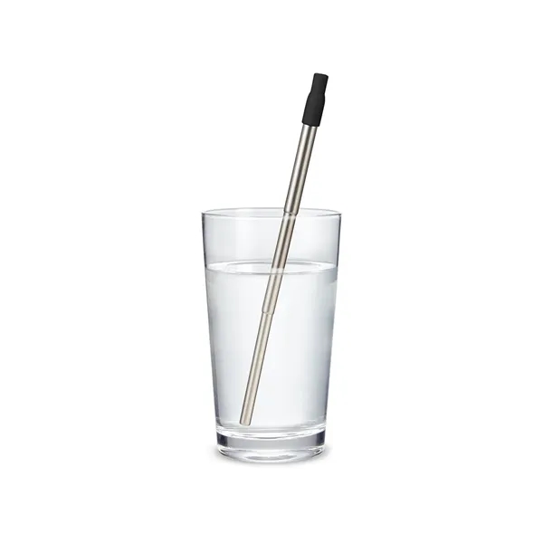 304 stainless steel telescopic drinking straw set with PS case with... from ASI 79530 Prime Line
