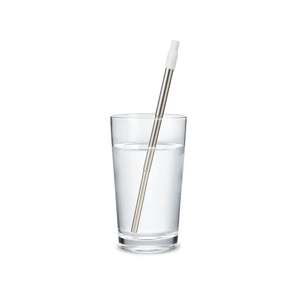 304 stainless steel telescopic drinking straw set with PS case with... from ASI 79530 Prime Line