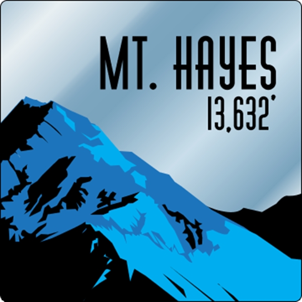 5" x 5" chrome polyester decal with round corners and one... from ASI 89910 Stouse, LLC